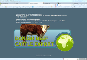 danish-beefcattle-export